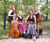 wedding string quartet in arbour