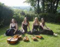 The KG String Quartet in the New Forest, Hampshire