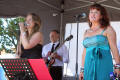 The CZ Party Band in Waterlooville, Hampshire