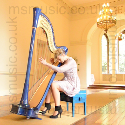 Harpist - Jemima in Sidmouth, Devon