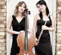 The LD Flute & Harp Duo in East Sussex, the South East