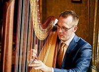 Harpist - Llwelyn in the Black Country, the West Midlands