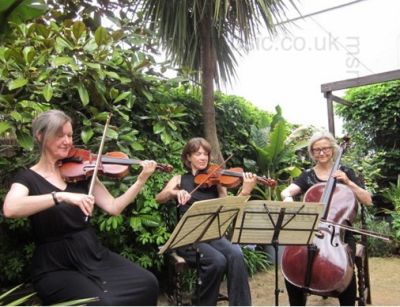 The CP String Trio in Marlow, Buckinghamshire