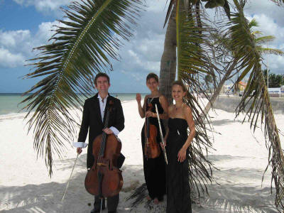 The AT Trio - Flute & Strings