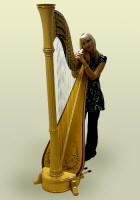 Harpist - Rhian