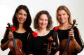 The SS String Trio in Wiltshire