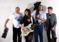 The AF Rock/Covers Band in the West Midlands
