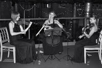 The AP String Trio