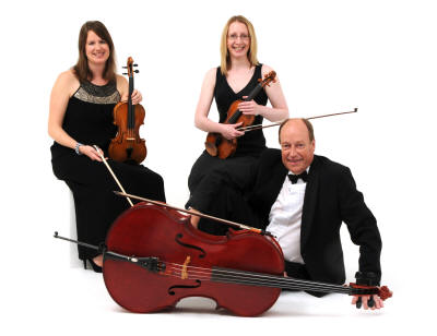 The SD String Trio